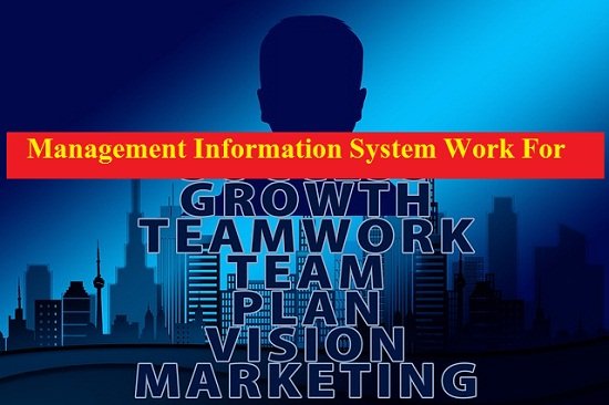 Management Information System Element