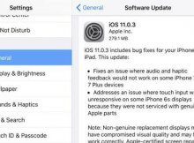 ios 11.0.3 update fixed 2 bugs